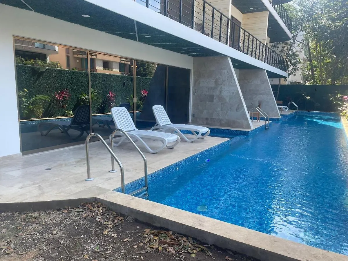 Cozy Apt W/Swim-Up Pool Apartment Tulum 0*,