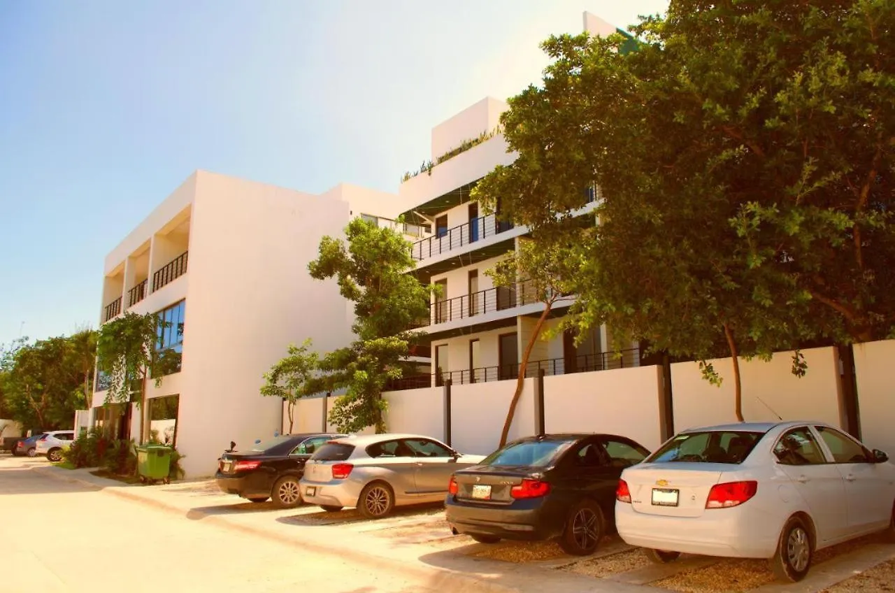Cozy Apt W/Swim-Up Pool Apartment Tulum